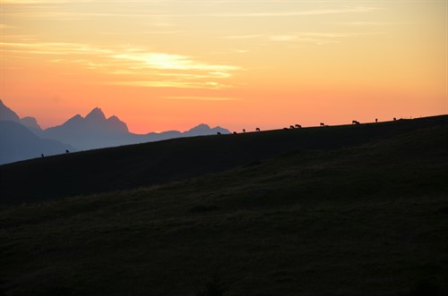 2019.09.31. MR Turnfahrt Sargans - Gonzen (59).JPG