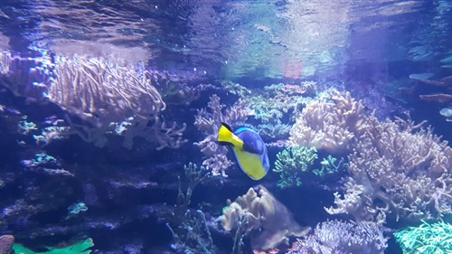 20190914_133527.jpg