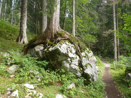 P1100219.jpg