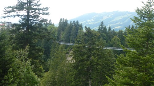 P1100273.jpg