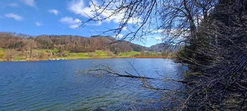 Türlersee - Hedingen