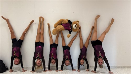 WhatsApp Image 2025-09-10 at 14.08.56 (6).jpeg