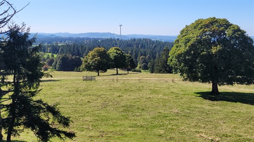 MR TVT Turnfahrt 2025 Mont Soleil - Jura (1.11).jpg